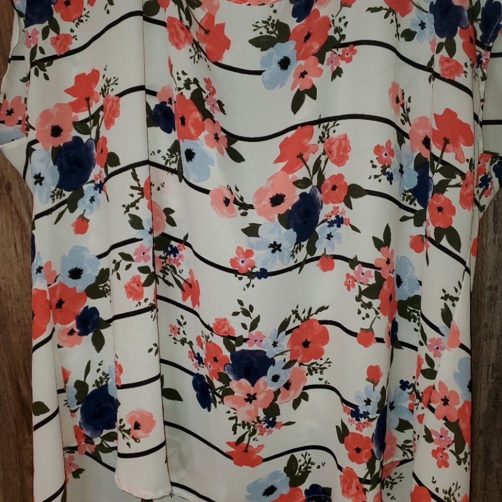 Torrid Sleeveless Blouse size 2